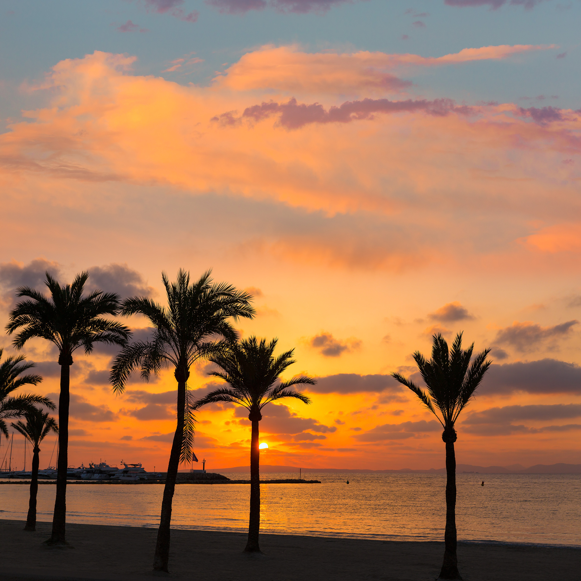 Majorca El Arenal Beach Sunset 